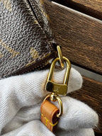 Louis Vuitton Pochette Accessoires in Tela Monogram