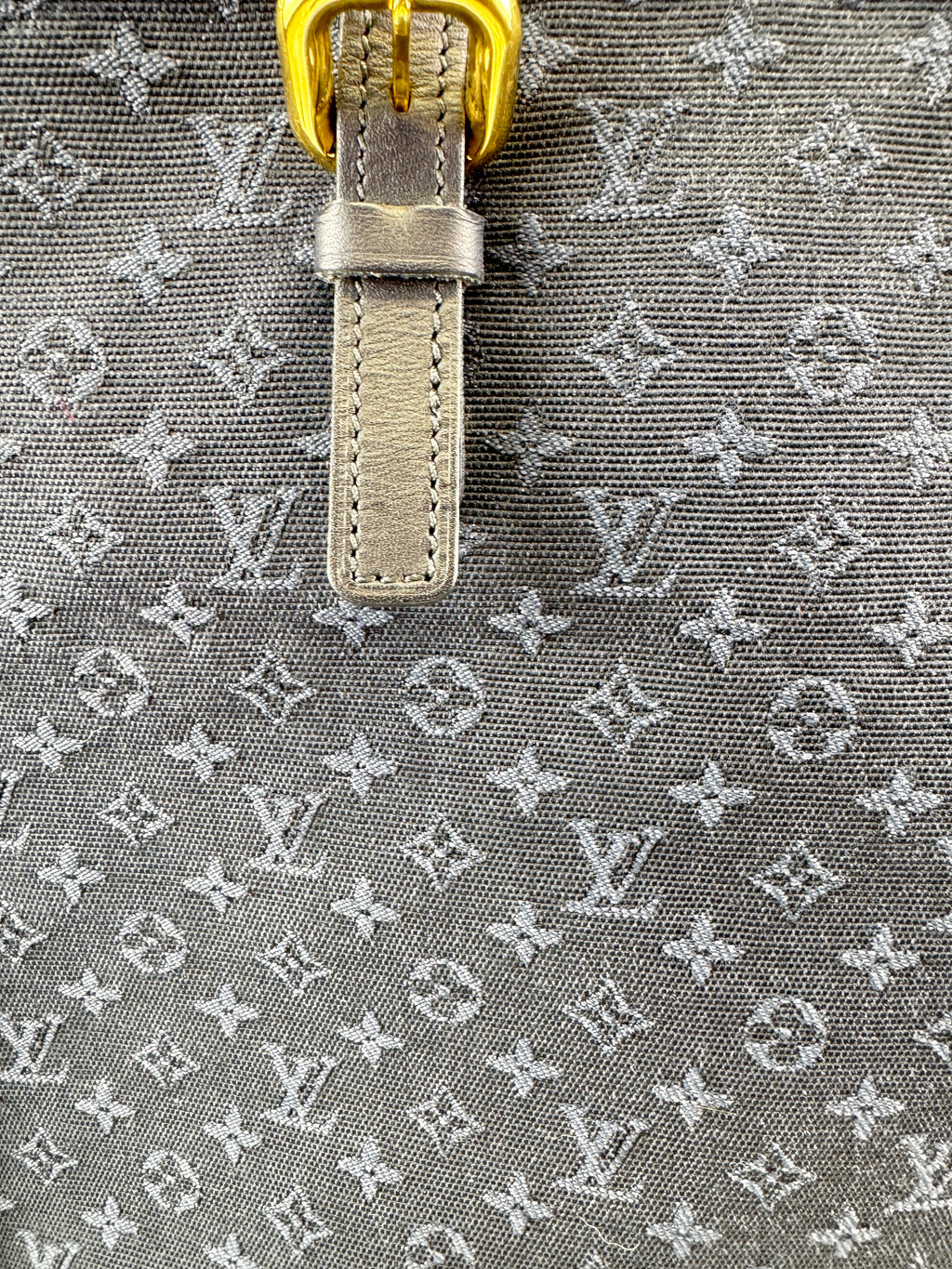 Louis Vuitton Françoise
