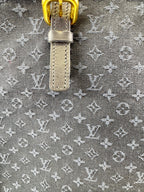 Louis Vuitton Françoise