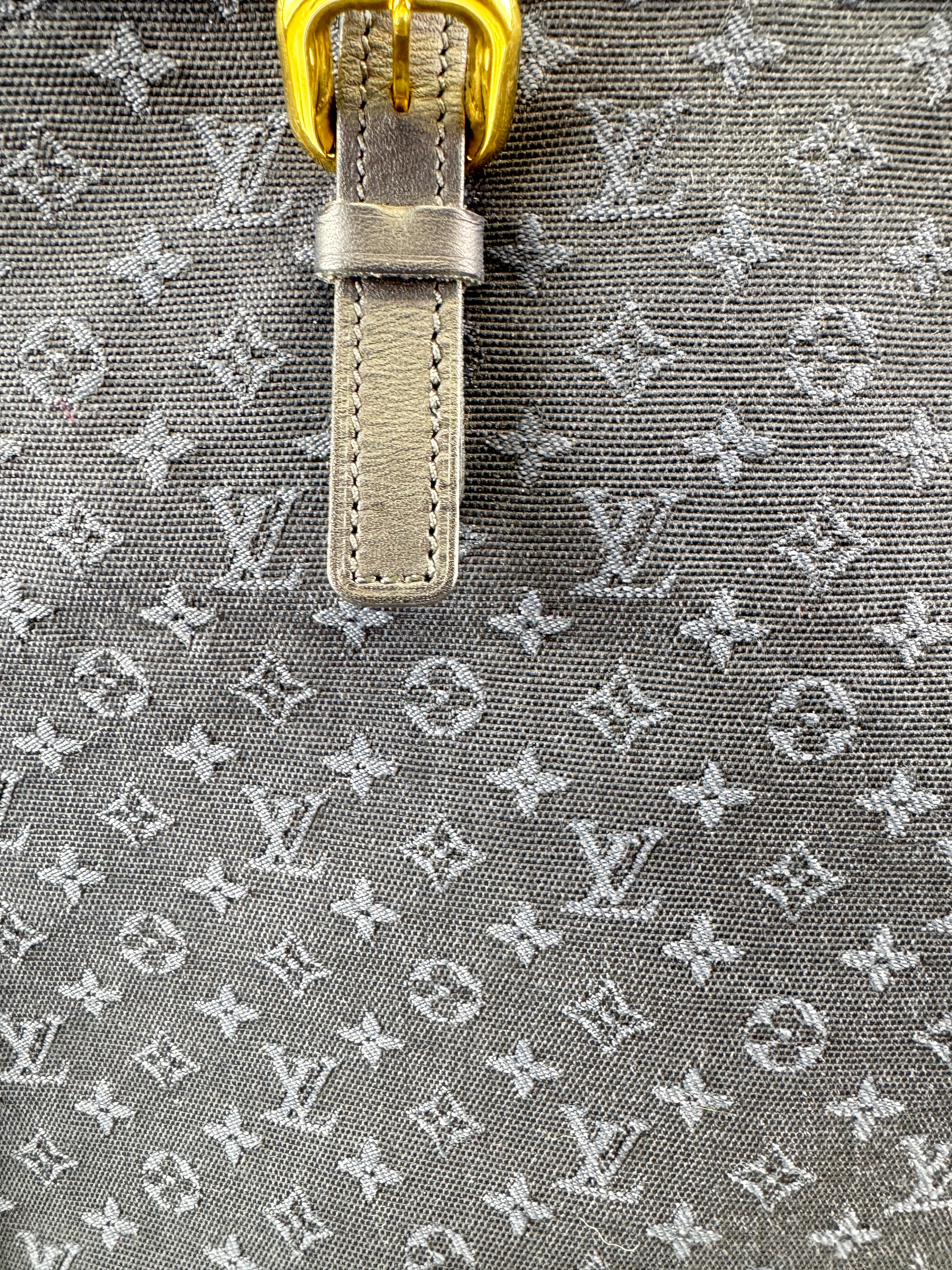 Louis Vuitton Françoise