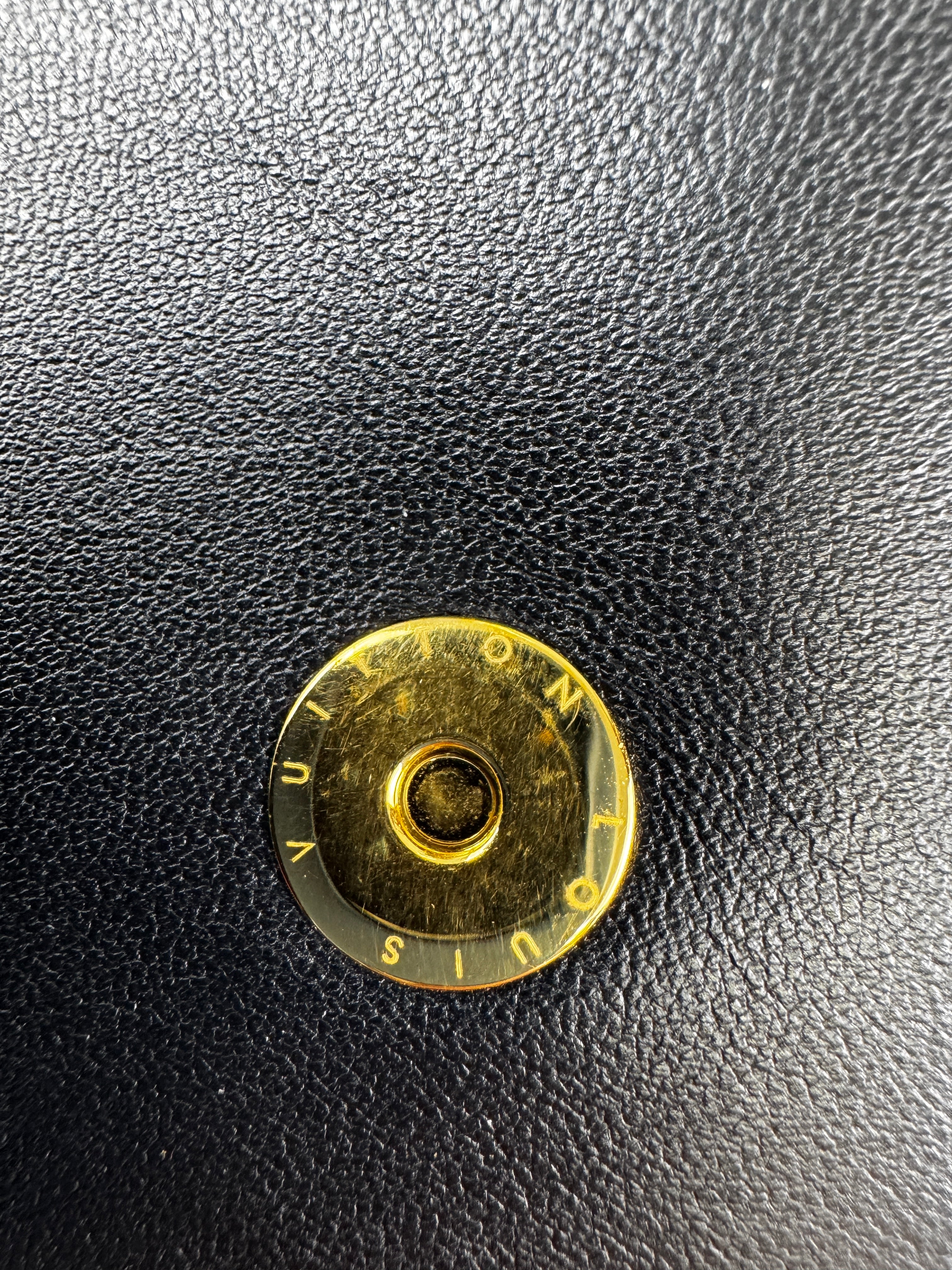 Louis Vuitton Pochette Coussin