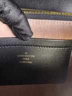 Louis Vuitton Pochette Coussin