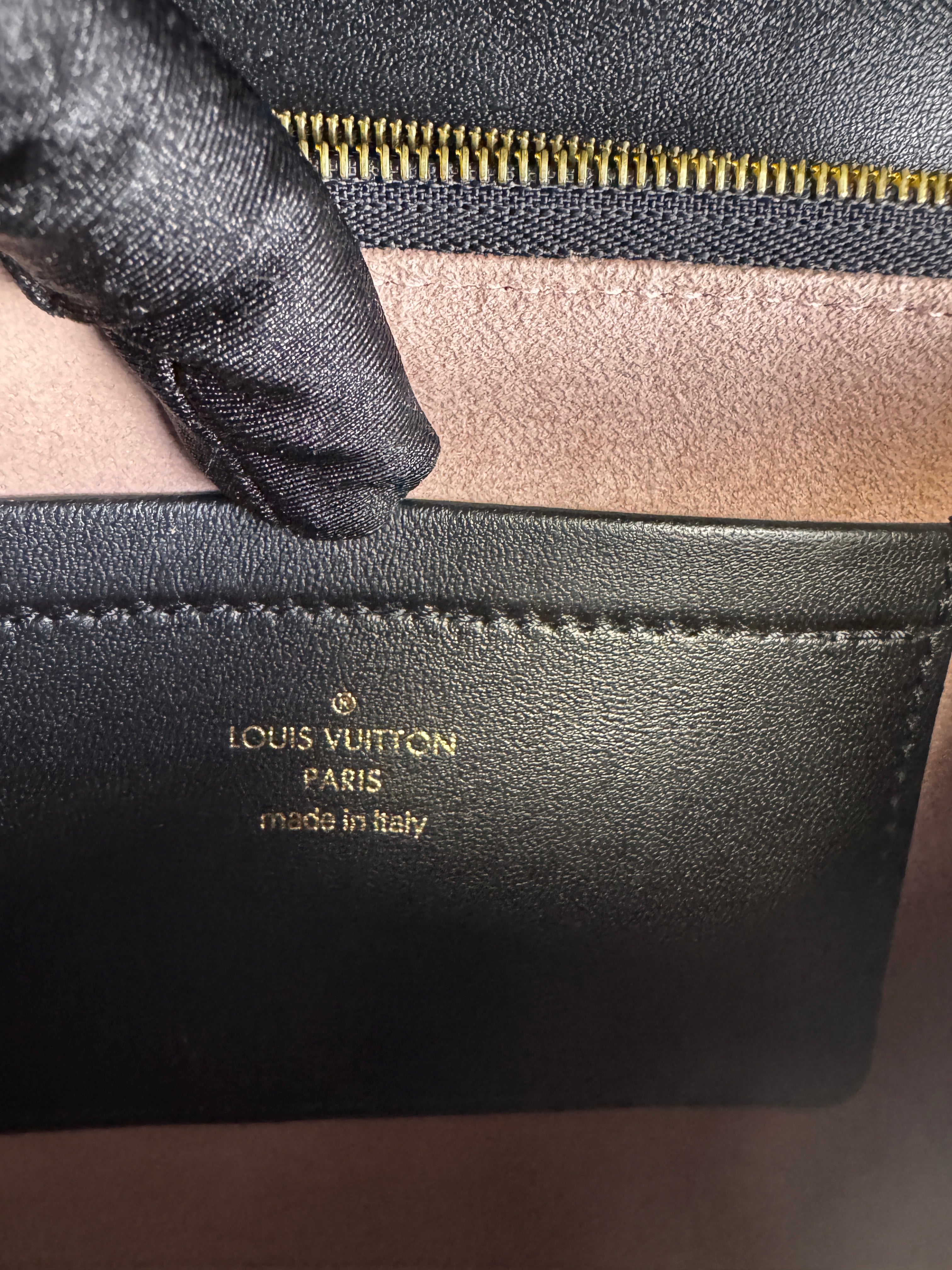 Louis Vuitton Pochette Coussin