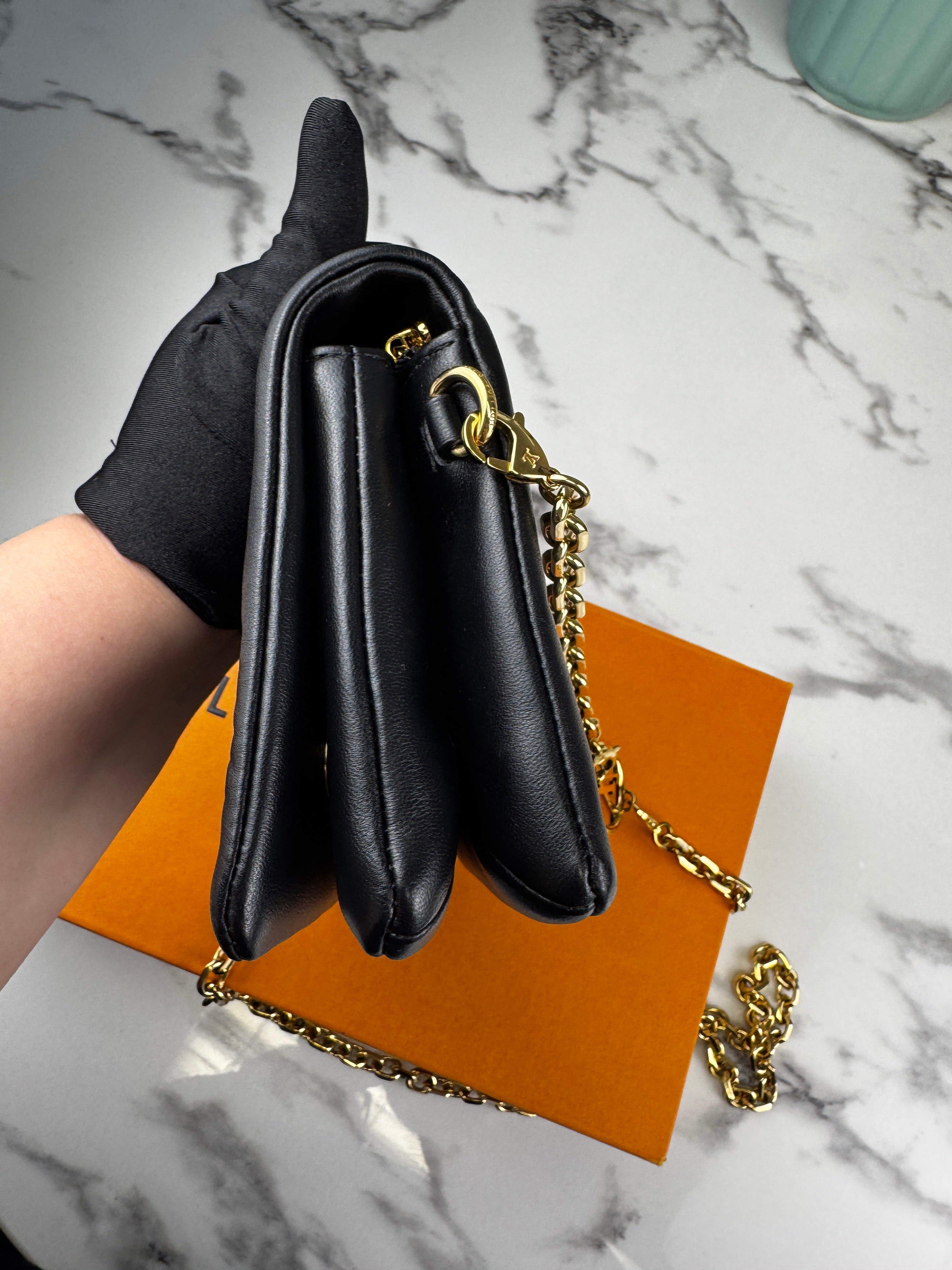 Louis Vuitton Pochette Coussin